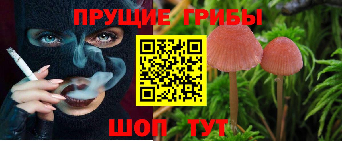 Псилоцибиновые грибы Magic Shrooms Зеленогорск